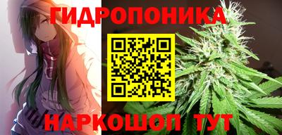 ГАЛЛЮЦИНОГЕННЫЕ ГРИБЫ Канаш