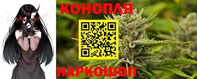 ГАЛЛЮЦИНОГЕННЫЕ ГРИБЫ Канаш