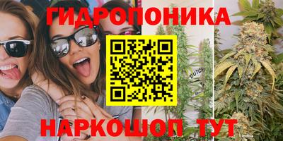 трава Камышлов
