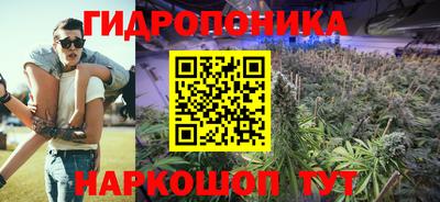 ГАЛЛЮЦИНОГЕННЫЕ ГРИБЫ Канаш