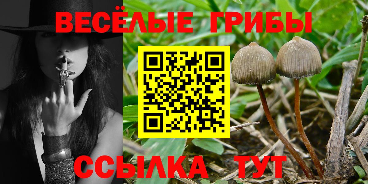 Псилоцибиновые грибы ЛСД Армавир
