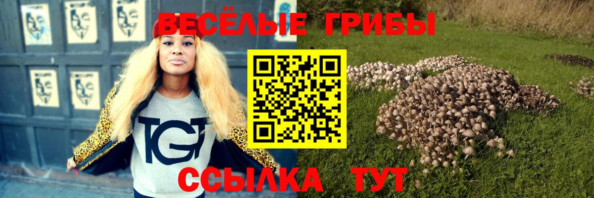 Армавир  Галлюциногенные грибы Psilocybe  Вход с VPN 